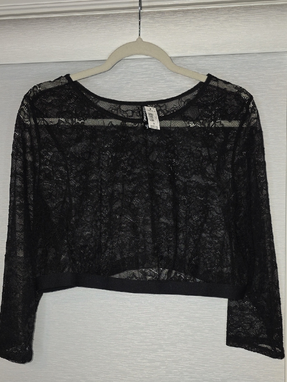 Sheer Black Lace Cropped Top with Long Sleeves - Women